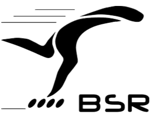 Ballan sur Roulettes - Client photobooth Pose N Smile